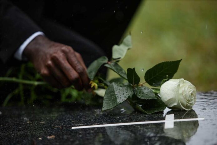 Close,Up,On,Hand,Of,Black,Man,Placing,White,Rose