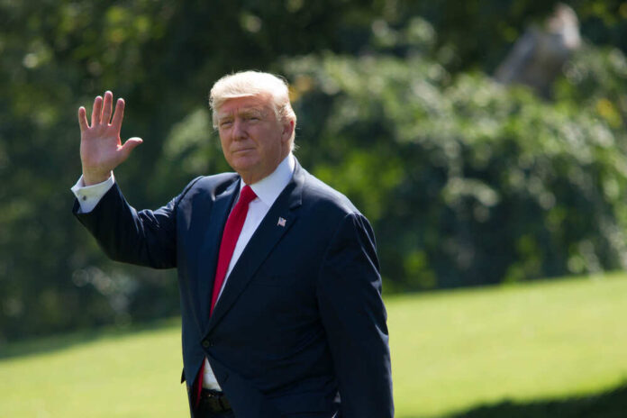 690212074 featured image Impact of Trump's Executive Order on Translation Services for Immigrants