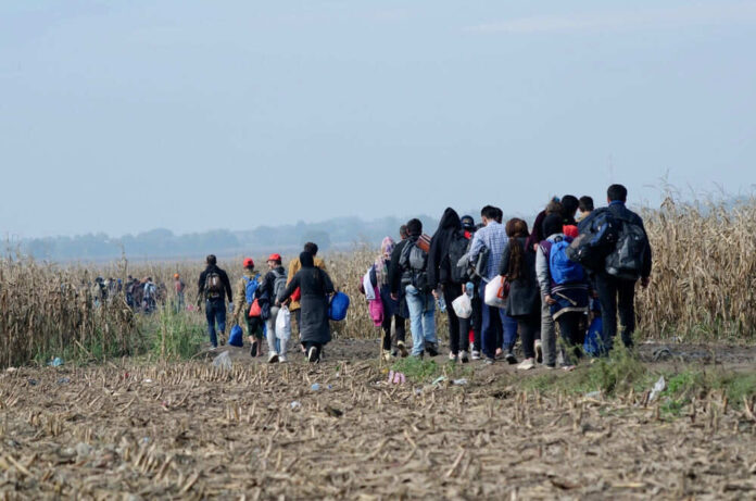 Group walking through a barren field carrying bags