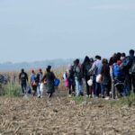 Shock Report: U.S. Migration Plummets! Shock Report: U.S. Migration Plummets
