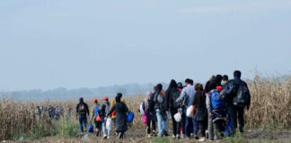 Shock Report: U.S. Migration Plummets