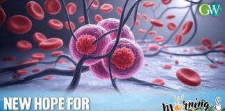 AUSTRALIAN SCIENTISTS DEVELOP TARGETED THERAPY