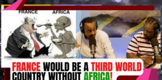 France would be a THIRD WORLD country without Africa
