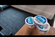 Regulators Blink—ZYN Gets The Halo FDA approves modified risk claim for Zyn nicotine pouches