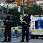 Festival Chaos Erupts: Gunfire Rips Crowds 2 people killed in Toronto festival shooting