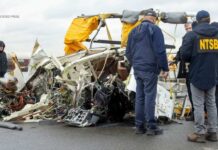 Bird Strike Horror Over Hudson NYC helicopter crash that killed 6 people showed signs of bird strike: NTSB