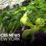 Lettuce from Mexico used by Taco Bell possible cause of cyclosporiasis, source says