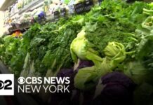 Taco Bell Lettuce Sparks Parasite Panic Lettuce from Mexico used by Taco Bell possible cause of cyclosporiasis, source says