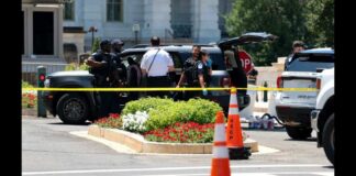 Armed Man Arrested Outside US Capitol: Police