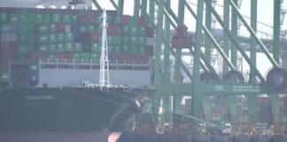 Illinois among half of US states to sue over Trump's new tariffs