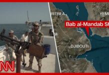 Global Trade Chokepoint in Peril Iran-backed Houthis seize Perim Island. What's next?