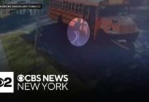 Runaway School Bus – Stranger Leaps, Slams Brake Video shows bystander stopping a runaway school bus