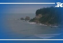 Kelvin wave headed towards West Coast